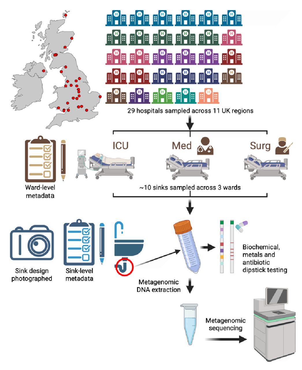 Overview of SinkBug sampling and sample processing strategy.Hospital colour reflects the region sampled. “ICU” – intensive care unit, “Med” = medical ward, “Surg” = surgical ward. Metagenomic sequencing was performed on the Illumina NovaSeq.