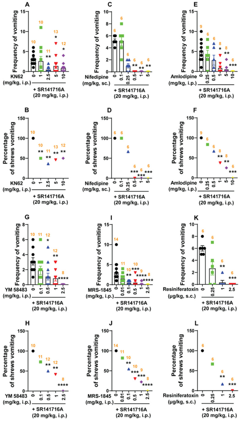 Effects of modulators of cell membrane Ca2+ channels on CB1 receptor inverse agonist/antagonist SR141716A (20 mg/kg, i.p.)-induced vomiting. Different groups of least shrews were given an injection of either the corresponding vehicle or varying doses of one of the following: (1) CaMKII inhibitor KN62 (i.p.); (2) the L-type Ca2+ channel (LTCC) inhibitors nifedipine (s.c.) and amlodipine (i.p.); (3) store-operated Ca2+ entry blockers YM 58483 (i.p.) and MRS 1845 (i.p.); and (4) the TRPV1R agonist resiniferatoxin (RTX) (s.c.), 30 min prior to SR141716A (20 mg/kg, i.p.) injection. Emetic parameters were recorded for the next 30 min. The frequency of emesis (A,C,E,G,I,K) was analyzed using Kruskal–Wallis non-parametric one-way ANOVA followed by Dunn’s post hoc test and presented as mean ± SEM. The percentage of shrews vomiting (B,D,F,H,J,L) was analyzed using the chi-square test and presented as mean. * p < 0.05, ** p < 0.01, *** p < 0.001, **** p < 0.0001 vs. 0 mg/kg. The number of animals in each group is presented at the top of the corresponding column.