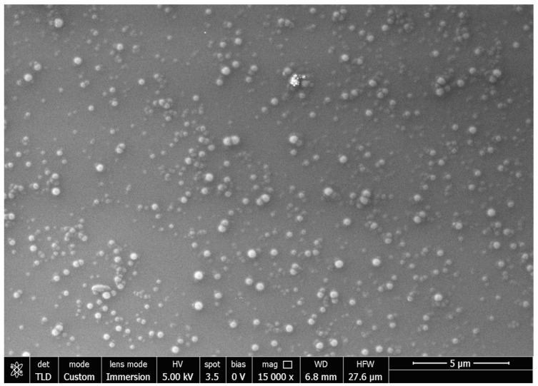 SEM image of PEA-LNPs.