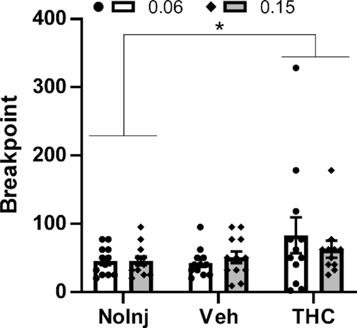 Mean (N=11–12 female rats; ±SEM) and individual breakpoints reached in the PR procedure following injection with Vehicle or THC (5 mg/kg, i.p.) in a counter-balanced order, followed by a no-injection day. The effect on self-administration of the oxycodone 0.15 mg/kg/infusion dose was evaluated first and the 0.06 mg/kg/infusion dose evaluated the following week. A significant difference between pre-treatment conditions, across oxycodone dose, is indicated with *.