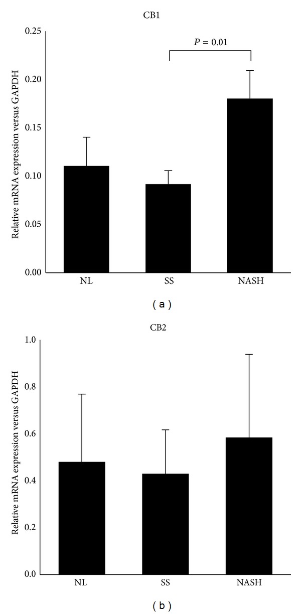 Liver CB1 and CB2 mRNA expression in morbidly obese women classified according to the liver pathology. NL: with normal liver histology; SS: simple steatosis; NASH: nonalcoholic steatohepatitis. Results are shown as mean ± SD. P < 0.05 is considered statistically significant.