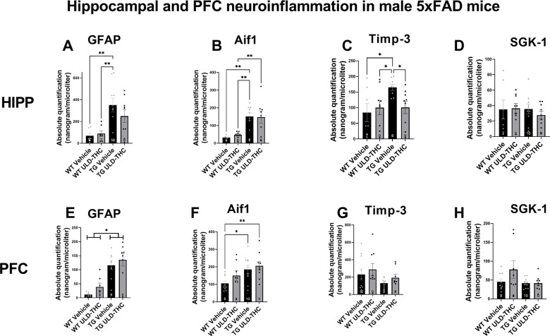 Effect of ULD-THC on neuroinflammatipn in male 5xFAD mice. In the hippocampus (A-D), in the GFAP astrocyte marker, TG Non-treated mice had a significantly higher expresiion of GFAP compared to WT, while treated- TG mice were not significantly different from WT (A). In the Aif1 microglial marker, TG Non-treated mice had a significantly higher expression of GFAP compared to WT, while treated-TG mice were not significantly different from WT (B). In the Timp-3, TG Non-treated mice had a significantly higher expression compared to both WT and treated-TG mice (C). No significant difference was found in SGK-1 (D). In the PFC (E-F) in the GFAP astrocyte marker, TG Non-treated and treated mice had a significantly higher expresiion of GFAP compared to WT, (E). In the AIF1 microglial marker, TG Non-treated and treated mice had a significantly higher expresiion of GFAP compared to WT (F). No significant difference was found in either TIMP-3 (G) and SGK-1 (H). Results are represented as MEAN+/-SEM. * represents *<0.05. Results are represented as MEAN+/-SEM. * represents *<0.05
