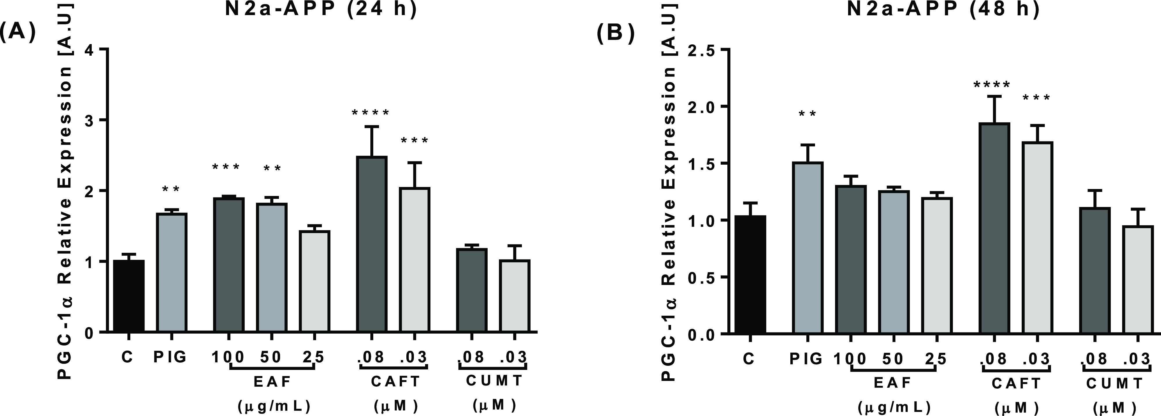 EAF, CAFT, and CUMT promoted PGC-1α gene expression. N2a APP cells were treated with the EAF at 25–100 μg/mL and CAFT and CUMT at 0.03–0.08 μM for 24 h (A) and 48 h (B). PIG (14 μM) was used as positive control. Gene expression levels showed significant changes of PGC-1α in the EAF and CAFT after 24 h (A), and after 48 h treatment, only the expression levels of CAFT were markedly increased in treated cells (B) and CUMT showed no significant changes. EAF-, CAFT-, and CUMT-treated cells were compared with control cells. Data are expressed as mean ± SD, n = 3. The p values were calculated using one-way ANOVA, *p < 0.05; **p < 0.01; ***p < 0.001; ****p < 0.0001.