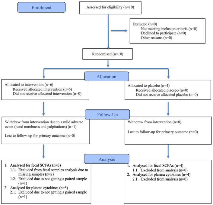 Flow diagram of the pilot randomized clinical trial.