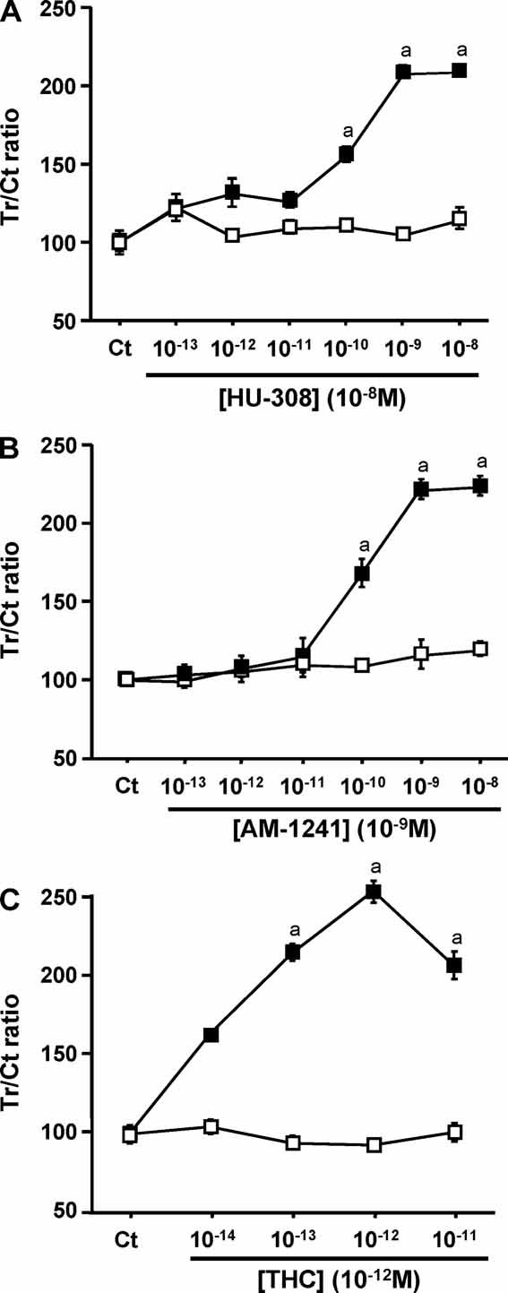 CB2 agonists stimulate osteoblast mitogenesis. BrdU uptake by NeMCOs from wild-type (full squares) and Cb2−/−– mice (open squares). (A) HU-308. (B) AM-1241. (C) THC. Data are mean ± SE of Treated/Control ratio obtained in 5 culture wells per condition. Tr = agonist-treated cultures; Ct = agonist-free control cultures. ap< .05 versus Ct.