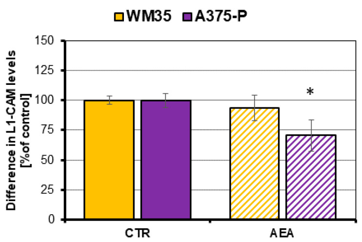 Difference in the L1-CAM glycoprotein production by AEA-treated melanoma cells. The investigated cell lines are from the following stages of melanoma progression: RGP site (WM35) and from the solid tumor site (A375-P). The statistical significance of the p-value below 0.05 (*) was marked on the graph.