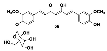 Chemical structure of curcumin monoglycoside derivative 56 with effective in vitro and in vivo neuroprotective effects in ROT-induced damage in dopamine N27 cells and in Drosophila model.