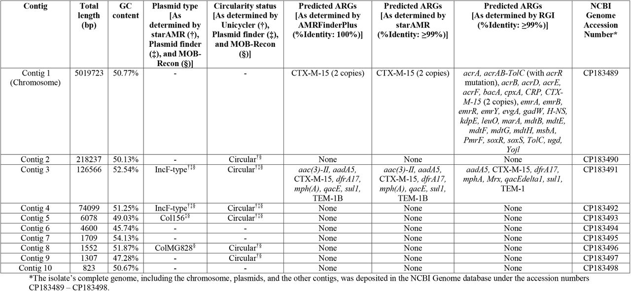 Genome assembly information and ARG carriage in E. coli 266631E