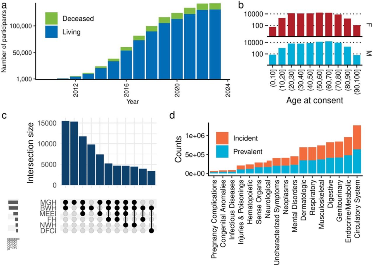 The cohort characteristics of MGBBa, The columns represent the cumulative number of individuals who have consented to the MGBB. Colors indicate the vital status of participants as of May 2023. b, Gender/Age at Consent Distribution: The columns represent the distribution of the participants based on gender and age at the time of consent. The individuals older than 100 years at the time of consent are not included in the displayed numbers. c, Encounter patterns in the MGB Network. The number of encounters that participants have had within the MGB network. Please note that these encounters include sites where recruitment did not take place. d, Distribution of PheCodes based outcomes. The columns indicate the number of outcomes in PheCode-category. Colors distinguish between incident and prevalent cases. MGH, Massachusetts General Hospital; BWH, Brigham’s and Women’s Hospital, MEEI Mass Eye and Ear Institute; FH Faulkner Hospital; NWH, Newton-Wellesley Hospital; DFCI, Dana-Farber Cancer Institute.