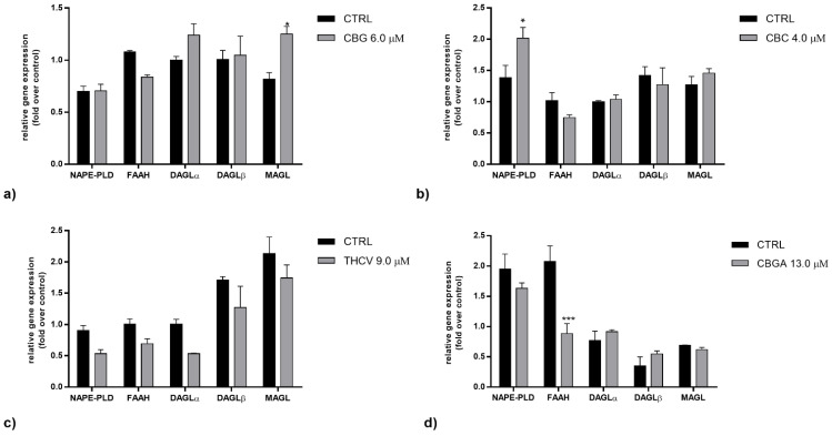 Gene expression of AEA and 2-AG metabolic enzymes (NAPE-PLD, FAAH, DAGLα/β and MAGL) following 24 h of treatment with half-IC50 amounts of: (a) CBG, (b) CBC, (c) THCV and (d) CBGA. The values were expressed as 2(−ΔΔCt) and were normalized to β-actin and GAPDH as housekeeping genes. The data are the means ± SEM of three independent experiments (n = 3). Statistical analysis was performed using a two-way ANOVA test, followed by the Bonferroni post hoc test (* p < 0.05 and *** p < 0.001 vs. control).