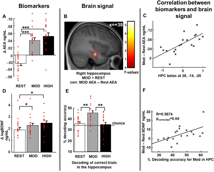 Increased biomarker levels correlate with hippocampal brain signals after moderate intensity exercise. (A) Increased Anandamide level (AEA) after moderate and high physical exercise compared to rest. For all Exercising Conditions Δ AEA corresponds to the difference in AEA between the second blood sample (after exercise or rest) and first blood sample (before exercise or rest). (B) Increased right hippocampal activity for hits after moderate exercise compared to hits after rest correlated with the increase in AEA level after moderate exercise [z score = 3.72 (38, − 14, − 20), p < 0.05 SVC corrected for multiple comparisons]. (C) Correlation between the beta values from the right hippocampal activation described in (B) and AEA, shown here for illustrative purposes only. (D) Increased BDNF levels after moderate and high intensity exercise compared to after rest. For all Exercising conditions, Δ BDNF corresponds to the difference in BDNF between the second blood sample and the first blood sample. (E) Higher decoding accuracy for hits in the bilateral hippocampus after moderate exercise than after rest and high intensity exercise. (F) Significant positive correlation between decoding accuracy in the hippocampus and increase in BDNF level after moderate intensity exercise (R = 0.53, p = 0.04, corrected for multiple comparisons). Activation map displayed on the mean T1 anatomical scan of the studied population.