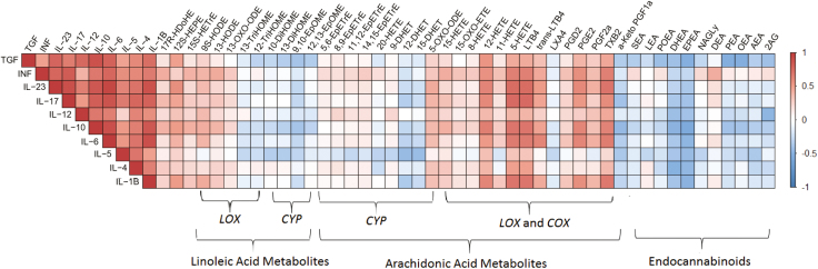 Colored heatmap of the pair-wise Spearman’s rank correlation coefficients computed for cytokines vs cytokines, cytokines vs eCBs, and cytokines vs oxylipins. The colors refer to the correlation coefficient direction and magnitude, ranging from –1 (blue) to 1 (red). Each box in the heatmap is constructed from the metabolites-cytockines data of the 28 enrolled subjects. The metabolites are ordered according to the corresponding PUFA and the metabolic pathway. The correlation coefficients and the significance P values corresponding to all computed correlations are provided in the Supplementary Data.