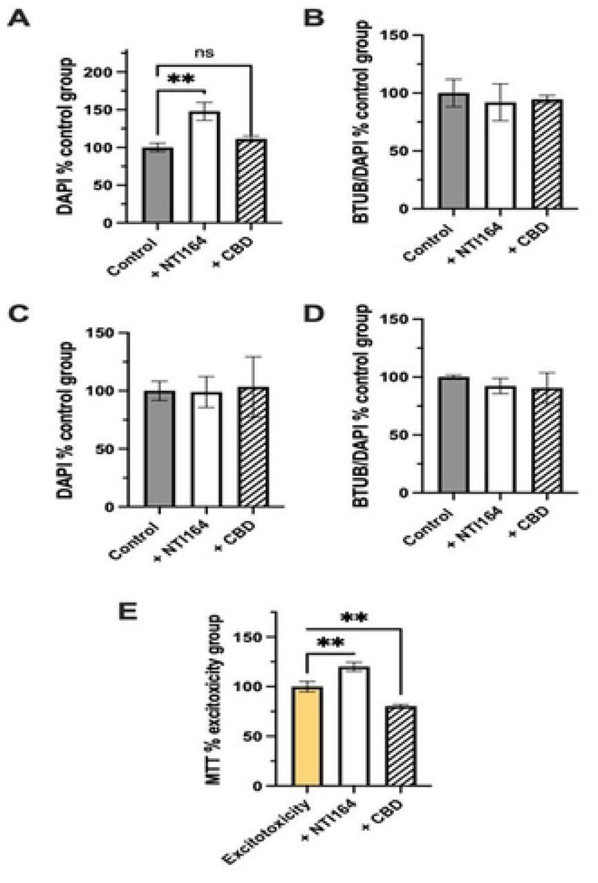 Impacts of NTI-164 and CBD on SHSY-5Y neurons. In A) impacts on numbers of DAPI-positive cells in undifferentiated cultures, and in B) impacts on the expression of beta-tubulin (BTUB) as a proposition of DAPI-positive cells as an indicator of spontaneous differentiation in undifferentiated cells. In C) impacts on numbers of DAPI-positive cells in differentiated cultures, and in D) impacts on BTUB expression in differentiated cells, and E) impacts on the MTT outputs (mitochondrial activity assay) in differentiated cells in the glutamate exposure excitotoxicity assay. Mean ± SEM, n=6-10. Significance set at *, p<0.05; **, p<0.01; ***, p<0.001.