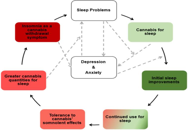 Theoretical model outlining reciprocal relations between cannabis use and sleep. Dashed arrows depict potential mediation and moderation pathways between cannabis, sleep, and depression and anxiety