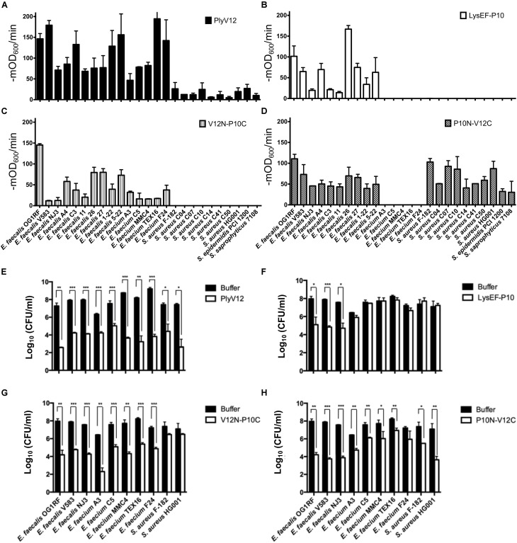 Lytic spectra and bactericidal activities of the parent and chimeric lysins. (A–D) The lytic activities of these four lysins against 15 enterococcal and 10 staphylococcal strains were measured as the reduction in OD600 per minute in the first 3 min. (E–H) 3 E. faecalis, 5 E. faecium and 2 S. aureus strains were treated with the four lysins under their respective optimal conditions. The number of residual CFU in each treatment was determined by plating 10-fold serial dilution and compared to that of buffer-treated controls by a two-tailed Student’s t-test with Welch’s correction. *P < 0.05; **P < 0.01; ***P < 0.001. Experiments were done in biological triplicate; error bars represent standard deviation.