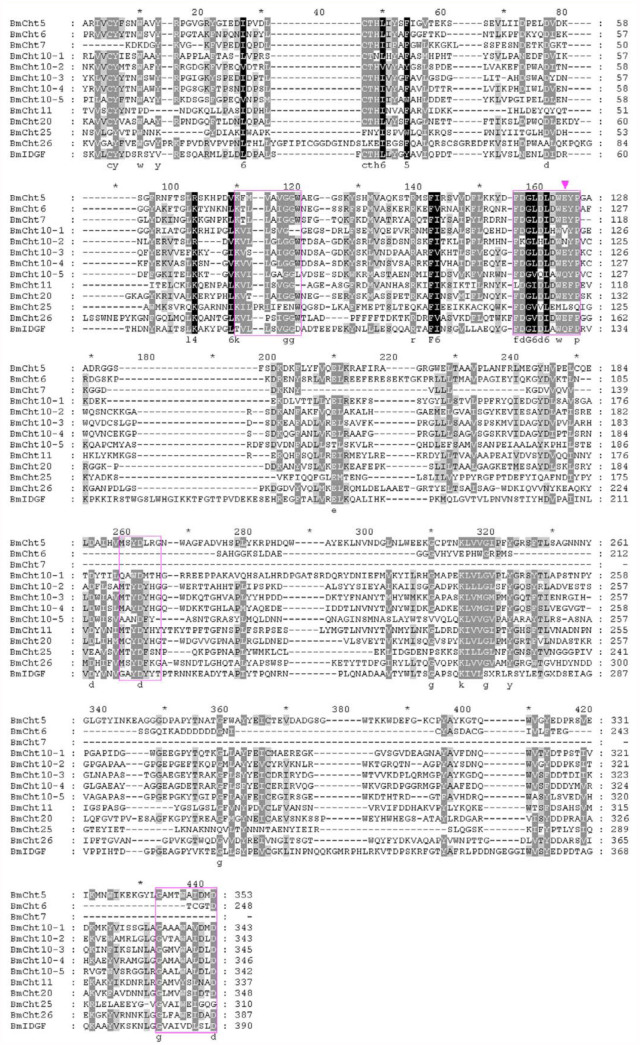 Multiple sequence alignment of the catalytic domains of Bombyx mori chitinase proteins. Catalytic domain sequences were retrieved from the identified B. mori chitinase proteins and the ClustalW program was used. The four conserved regions are boxed. The arrowhead indicates the important glutamate amino acid. High quality figures are available online.