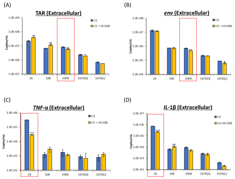 Levels of viral and proinflammatory cytokine RNA were assessed from EVs secreted from HIV-1-infected cells treated with HU308. U1 cells (1 × 106 cells/mL) were treated with or without HU308 (5 µM) for 3 days. EV subpopulations were collected after differential ultracentrifugation spun at varying g × force, namely 2K, 10K, 100K, 167K(S), 167K(L). EV subpopulations were assessed for viral RNA TAR (A), env (B), and proinflammatory cytokine mRNA TNF-α (C) and IL-1β (D). Student’s t-test compared treated subpopulations to untreated. Red boxes indicate subpopulations of interest. */#, p < 0.05; **/##, p < 0.01; ***/###, p < 0.001; * depicts a significant decrease and # a significant increase compared to untreated. Error bars, S.D.