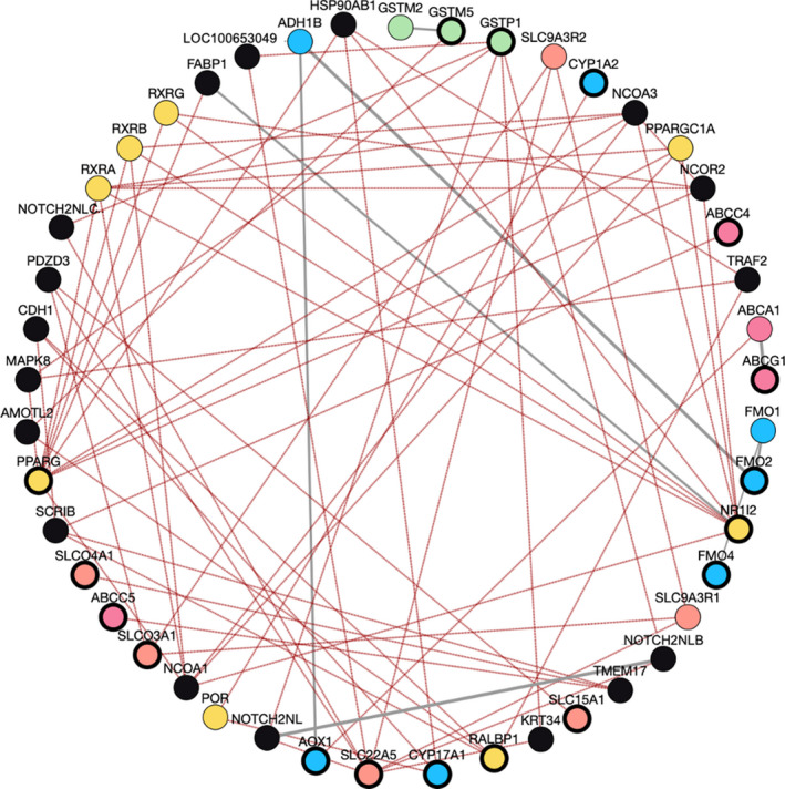 Co‐expression network among CBD response associated genes. Genes associated with CBD response are outlined in black. Colored circles indicate blue: phase I metabolism, green: phase II metabolism, coral: SLC family transporters, pink: ABC family transporters, yellow: other drug‐related genes, and black: other genes. CBD, cannabidiol.