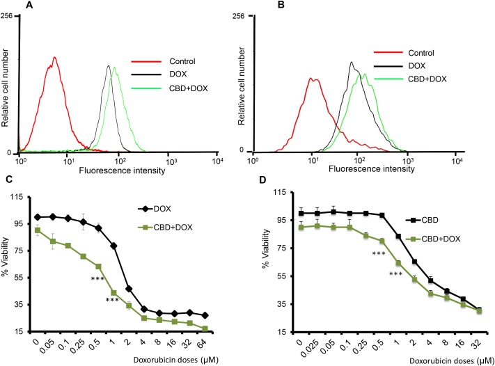 CBD potentiates the apoptotic effect of chemotherapeutic agentsA. SUM159 cells were treated with Vehicle or CBD for 2h followed by DOX for 30 min then subjected to FACS analysis of DOX uptake. B. MDA-MB231 cells were treated with Vehicle or CBD for 2h followed by DOX for 30 min then subjected to FACS analysis of DOX uptake. SUM159 C. or MDA-MB231 D. cells were treated with different concentrations of DOX in presence or absence of CBD for 24 hours and subjected to MTT assay. E. SUM159 cells were treated with CBD 5μM or DOX 0.5μM or combination of CBD and DOX and subjected to tunnel assay. F. Quantification of the % of tunnel positive cells has been calculated. G. SUM159 cells were treated with Veh or CBD 5μM or DOX 0.5μM or CBD+DOX for 24 h and the lysates were subjected to western blot analysis to detect the indicated proteins. SUM159 H. or MDA-MB231 I. cells were treated with 0.5μM DOX in presence or absence of CBD (5μM) for 6 days in reduced serum media and the number of formed colonies has been counted.