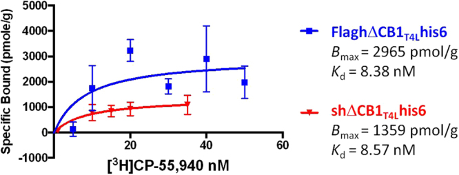 [3H] CP-55,940 saturation binding to the cell-free expressed shΔCB1T4Lhis6 and FlaghΔCB1T4Lhis6 receptors. The 6-point radioligand-binding assay was performed in PEI pre-treated GF/B filtration plates and the analyzed using GraphPad Prism 5.