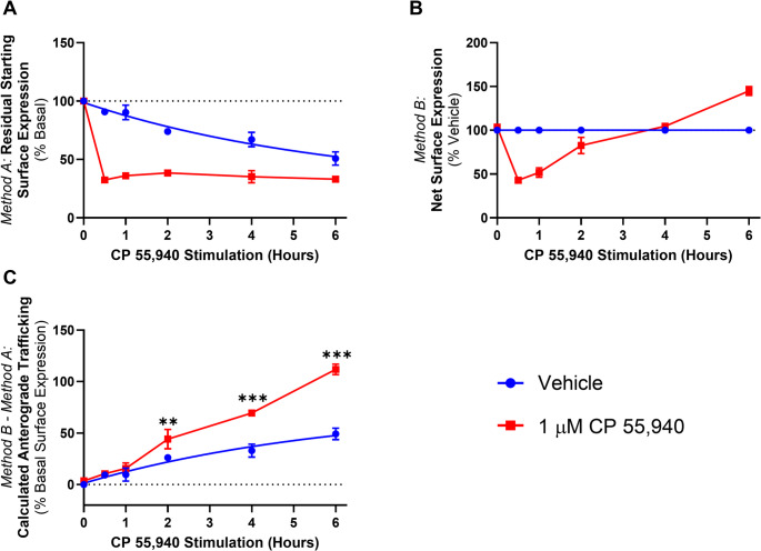 CB2 trafficking time course in response to CP 55,940. HEK cells stably expressing CB2 wt were treated with 1 µM CP 55,940 or vehicle over a 6 h time course, and labelled to measure (A) residual starting surface expression (Method A) or (B) net surface expression (Method B). (C) Calculated anterograde trafficking (Method B – Method A). P values for significant differences between Vehicle and CP 55,940 are indicated graphically as: ** < 0.005, *** < 0.001. Data are presented as mean ± SEM from three independent experiments