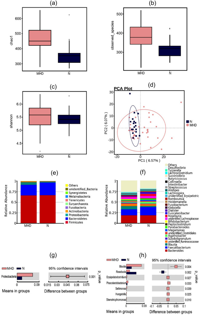 Analysis of differences in the microbiota based on 16S ribosome DNA (rDNA) sequencing between MHD patients and healthy people. a–c Chao1, Observed_species. and Shannon indices, respectively. Chao1 and Observed_species explain α-diversity (within-habitat diversity), and both indices were significantly increased in MHD patients (Figure a and b, p = 0.000 and 0.001, respectively). Meanwhile, the Shannon index c showed no significant difference between the two groups (p = 0.541). d Principal component analysis (PCA) of differences in the composition of the intestinal flora. The principal component contribution values of horizontal and vertical axes are 6.57% and 6.07%, respectively. e and f The main components of the microbiota at phylum and genus levels, respectively. g and h Differences in the microbiota between the two groups at phylum and genus level, respectively