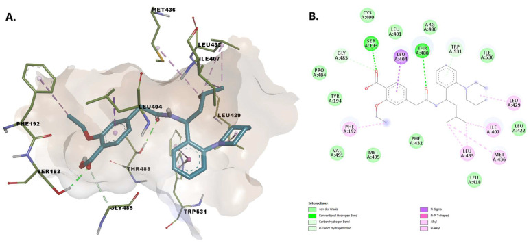 (A) 3D binding conformation of repaglinide into FAAH binding site; (B) 2D diagram of protein-ligand interactions between FAAH and repaglinide.