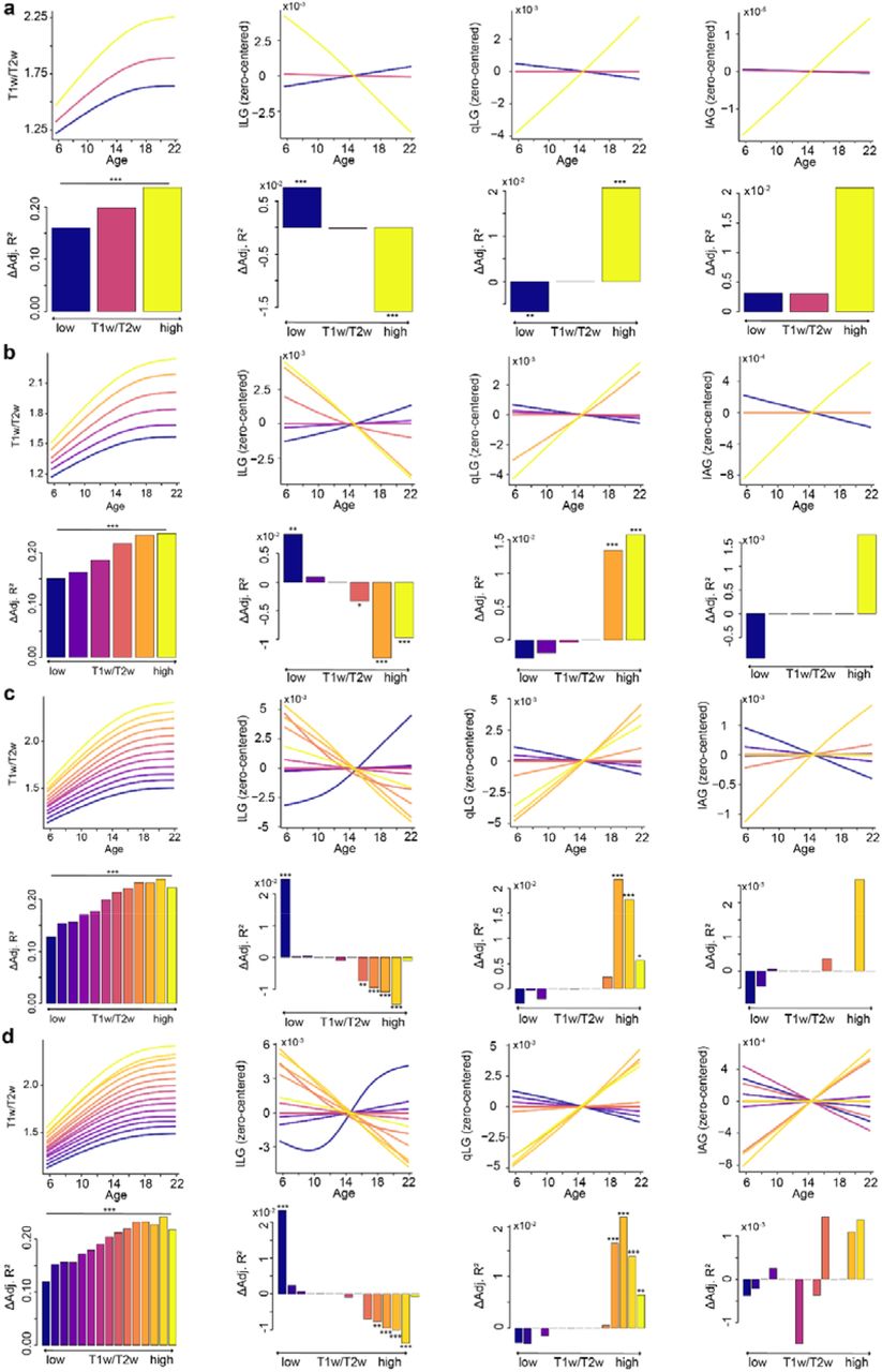 Spatial and temporal correspondence between the refinement of myelin content and the maturation of hippocampal functional gradients is replicated with various bins (3, 6,12 and 15) used for partitioning the hippocampal mid-thickness surface.