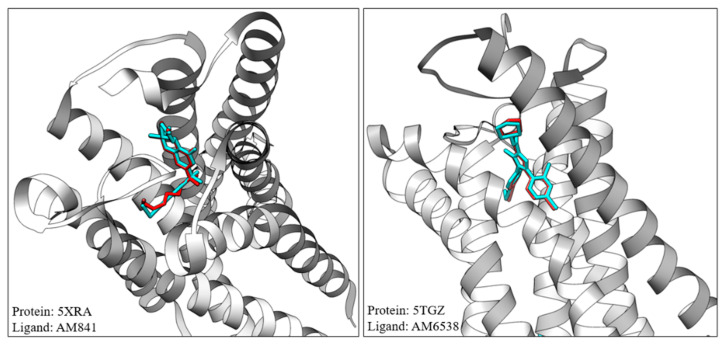 Reproduction of crystalized ligand binding mode using validated molecular docking simulations. Cyan: crystallized ligand extracted from PDB file; red: model prediction of ligand posture. Some residues were omitted for clarity.