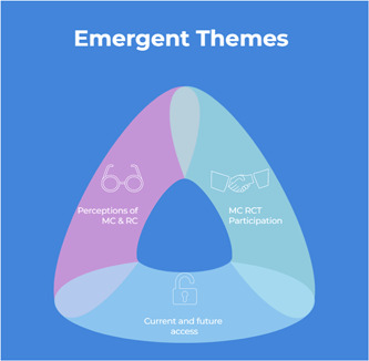 Summary of emergent themes