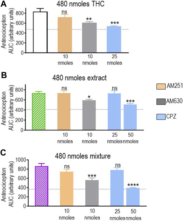 Effects of CB1R/CB2R antagonists and TRPV1 channel blockers on the anti-allodynic effects induced by THC administered in its pure form, as a 1:1 THC:CBD mix, or as the type II extract (480 nmoles). One week after induction of diabetes by STZ and 30 min before i.t. administration of (A) pure THC, (B) the balanced extract THC, or (C) the 1:1 THC:CBD mix, rats were pre-injected (i.t.) with the selective CB1R antagonist AM251 (orange), the selective CB2R antagonist AM630 (gray), or the selective TRPV1 channel blocker capsazepine (sky blue bar), at the doses indicated in the figure. Histograms show AUC values of withdrawal thresholds integrated over 120 min and are expressed in arbitrary units. They correspond to mean ± SEM, n = 6. Statistical comparisons were carried out using a one-way ANOVA followed by Dunnett’s multiple comparison test. *p < 0.05, **p < 0.01, ***p < 0.001, and ****p < 0.0001 comparing antagonist vs. no antagonist pretreatment. Dotted lines indicate AUC values obtained in vehicle-injected animals, as detailed in the Materials and Methods section.