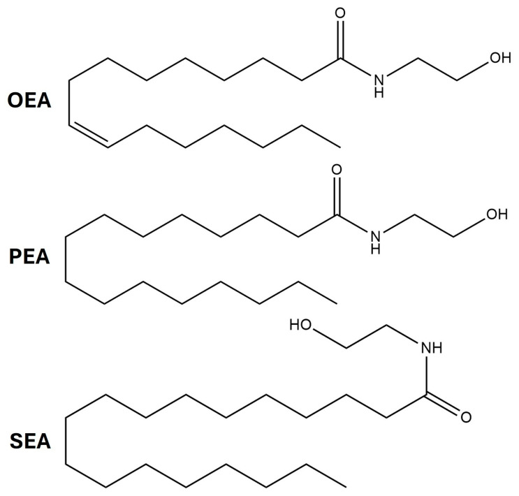 Chemical structures of OEA (oleoylethanolamine), PEA (palmitoylethanolamide), and SEA (N-stearoylethanolamine).
