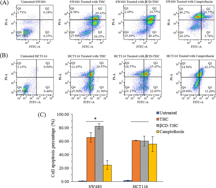 Flow cytometry analysis of Annexin V/FITC-PI on SW480 and HCT116 cells treated with negative control, THC, βCD-THC inclusion complex, and camptothecin.(A) Dot plot of SW480 cells with different treatments. (B) Dot plot of HCT116 cells with different treatments. Each representative dot plot is divided into Q1, necrosis; Q2, late apoptosis; Q3, early apoptosis and Q4, viable cell. (C) Quantitative percentages of apoptotic cell populations after treatment. Error bars represent the standard deviation of the mean from three replicates. Significant differences were denoted as *p < 0.05 against THC and βCD-THC inclusion complex treatment groups.