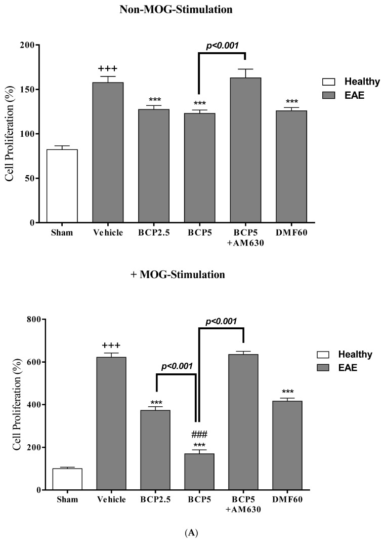 The effects of DMF (60 mg/kg; 30 mg/kg twice a day; p.o.), BCP (2.5, 5 mg/kg/day; p.o.), and the combination of a CB2 antagonist AM630 (1 mg/kg; i.p.) with BCP (5 mg/kg/day; p.o.) on cell proliferation, levels of anti- and pro-inflammatory cytokines in spleen lymphocytes of EAE mice; (A) Cell proliferation; (B) TNF-α; (C) IL-6; (D) IFN-γ; (E) IL-17; (F) IL-4; (G) IL-10; (H) TGF-β1; (I) ratio of IFN-γ/IL-4; (J) IL-ratio of 17/IL-10; and (K) ratio of IL-17/ TGF-β1. Data were presented as Mean ± SEM, n = six animals per group for each experiment protocol. Two-way ANOVA and Tukey’s multiple comparisons test were performed. (*) indicates the comparison between varying doses of BCP and DMF groups to the vehicle group, *: p < 0.05, **: p < 0.01, and ***: p < 0.001; (+) makes the comparison between the vehicle and sham groups, +: p < 0.05 and +++: p < 0.001; # in comparison with to DMF group in each graph, #: p < 0.05, ##: p < 0.01, and ###: p < 0.001.