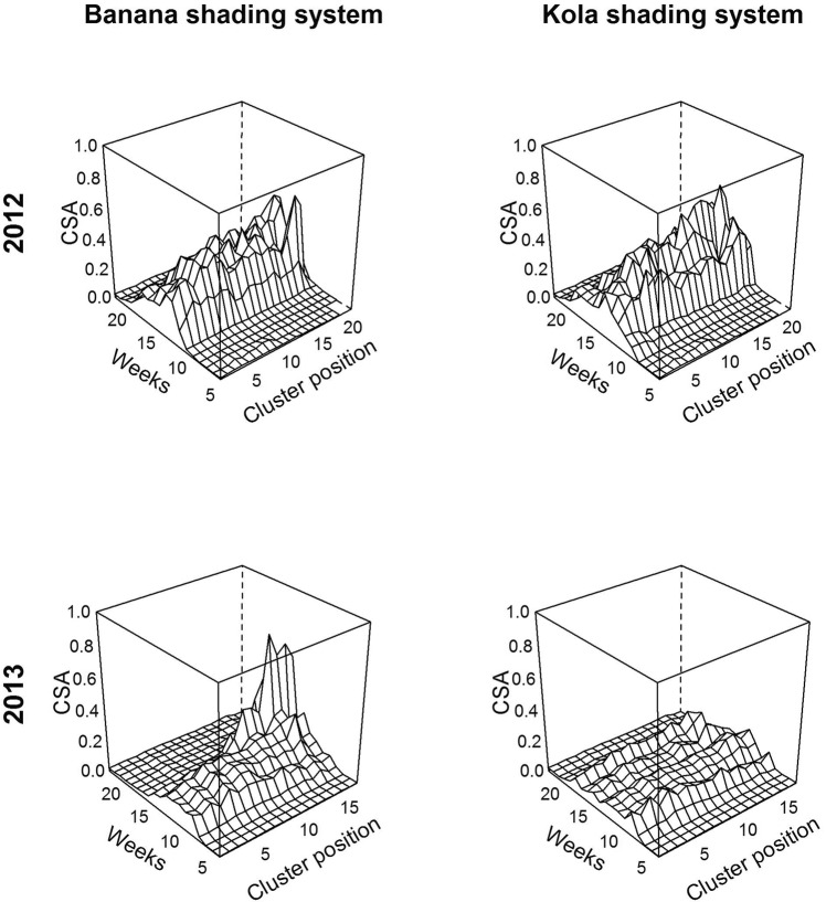In silico experiment: prediction of cluster symptom appearance (CSA) dynamics along the branch in two different microclimates induced by shade. We applied the model (Annex 1) to the architectural field data, either with the microclimatic variables measured in the banana shading system (left column) or with a new set of microclimatic variables (precipitation, temperature and relative humidity) measured under the shade of a forestry tree (kola shading system) present in the coffee farm (right column), for two years, 2012 and 2013.