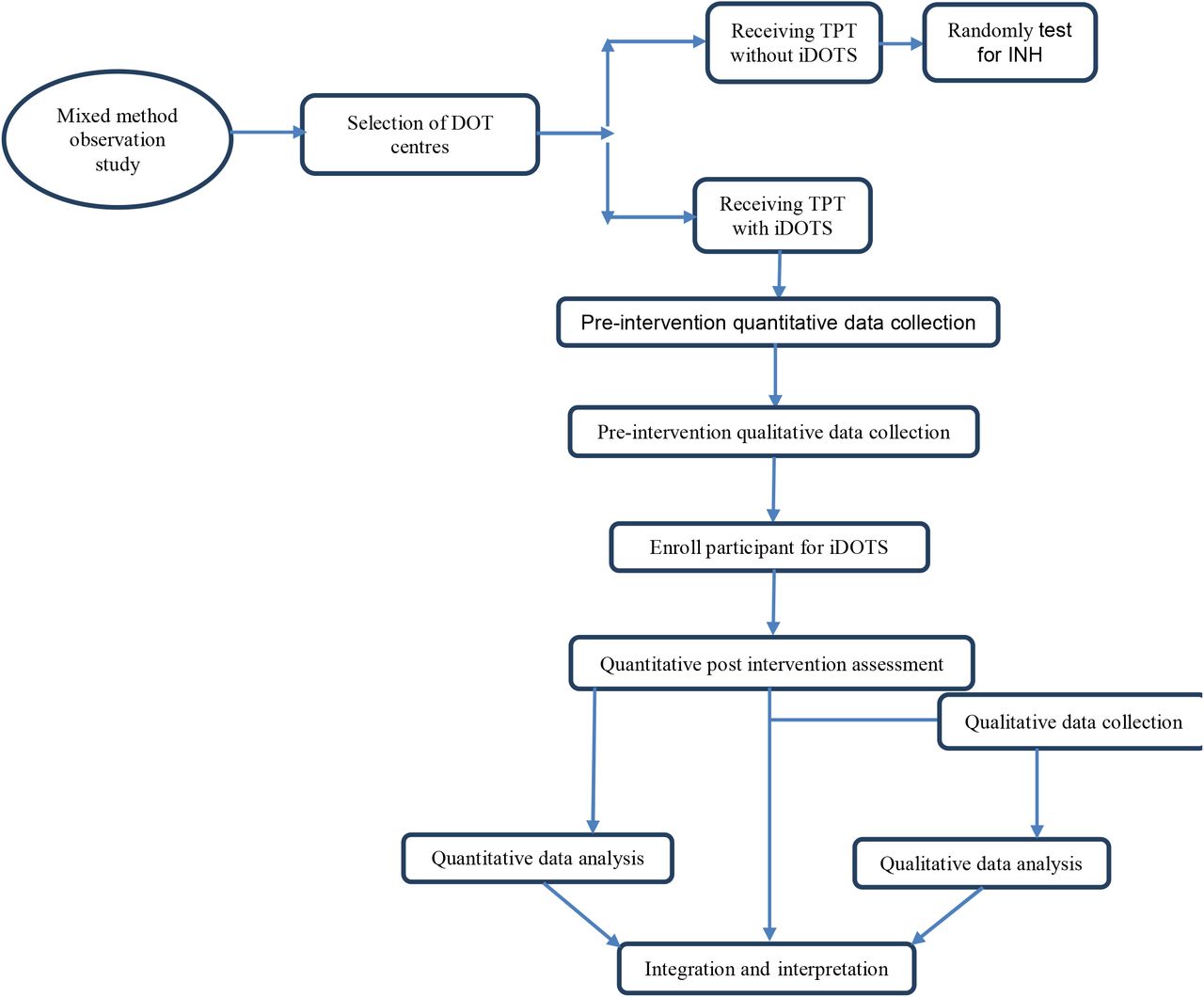 diagram of iDOTS study design