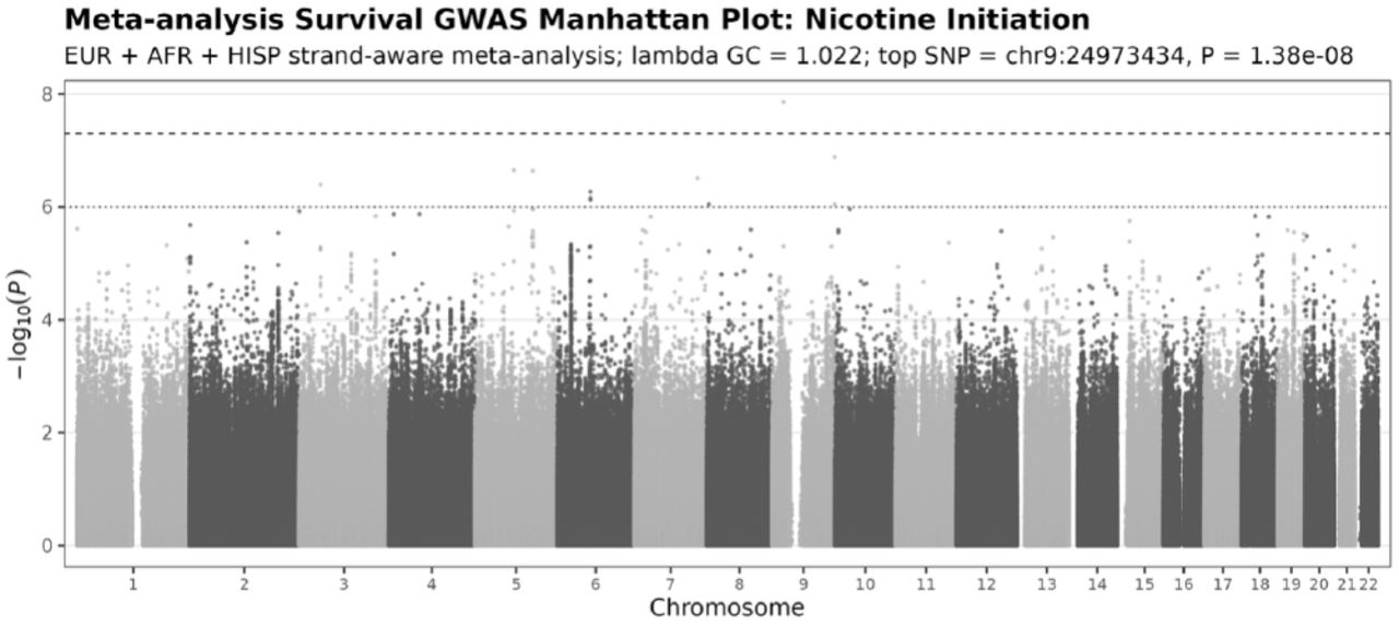 Multi-ancestry meta-analysis survival GWAS Manhattan plot for nicotine initiation.The plot shows chromosome-wide association results from the EUR, AFR, and HISP ancestry-stratified survival GWAS meta-analysis. Each point represents one SNP, with genomic position shown on the x-axis and − log10(P) shown on the y-axis. The dashed horizontal line indicates the conventional genome-wide significance threshold of P < 5 × 10−8. The top signal was observed at rs42974334 on chromosome 9, with a meta-analysis effect estimate of β = 1.022 and P = 1.38 × 10−8.