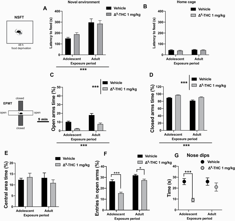 Anxiety behavior in the novelty-induced suppression of feeding test (NSFT) and the elevated plus maze test (EPMT) following chronic administration of D9-tetrahydrocannabinol (THC; 1.0 mg/kg, i.p.) during adolescence or adulthood. No differences between vehicle and THC was detected after both adolescent and adult exposure in the latency to feed in the novel (A) or familiar (B) environment. Neither adolescent nor adult THC exposure altered the percent time spent in the open arms (C), closed arms (D), or central area (E) and in the percentage of entries in the open arms (F) in the EPMT. However, THC decreased the time of nose dips after adolescent exposure (G). Two-way ANOVA followed by Tukey’s post hoc comparisons. Mean ± SEM. **P < .01, ***P < .001. N = 7–10 rats per group.
