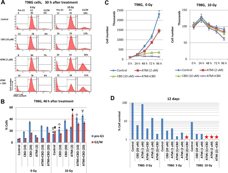 Cell cycle analysis, growth and clonogenic survival of T98G cells after treatments with indicated combinations of cannabidiol (CBD), the ATMi KU60019 and γ-irradiation (5-10 Gy)(A and B). Cell cycle-apoptosis was performed 30-48 h after indicated treatments of T98MG cells with CBD (10 μM), ATMi (2 μM), and γ-radiation (10 Gy). CBD and ATMi, as well as a vehicle control (0.1% DMSO), were added 30 min before irradiation. Cells were stained with PI for determination of DNA content using the flow cytometry. A typical result is shown in the panel (A). Pooled results of four independent experiments for T98G cells 48 h after treatments are shown in panel (B). Error bars represent means ±S.D. (p < 0.05, Student's t-test). The stars, arrows, and circles indicate significant differences in the percentages of the pre-G1 or the G2/M cell populations after indicated treatments. (C) Kinetics of T98MG cell growth was monitored 0-96 h after indicated treatments: 0.1% DMSO (as control), ATMi (2 μM), CBD (10 μM) or a combination of ATMi+CBD without and with γ-irradiation. (D) Clonogenic survival assay was performed for cell cultures after indicated treatments with 0.1% DMSO (as control), ATMi (1-2 μM), CBD (20 μM) or a combination of ATMi+CBD followed by γ-irradiation. The final number of cell clones was determined after 12 days of cell culture growth. A ratio of a number of clones of treated cells to a number of clones of control cells reflected cell survival (percentage). Stars indicate the absence of survived clones.