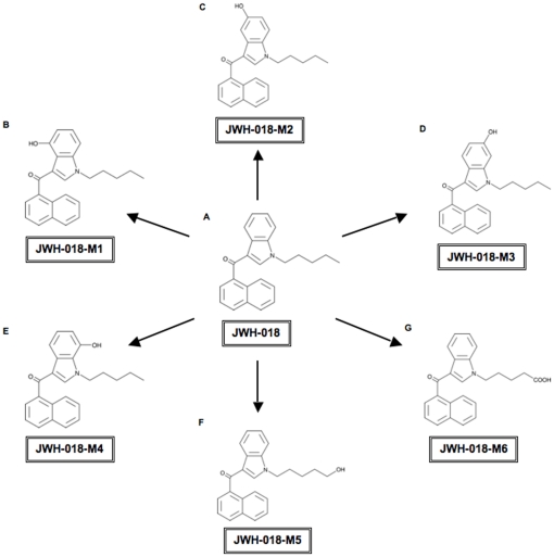 Structures of JWH-018 and six JWH-018 hydroxylated products. A. JWH-018 [(1-pentyl-1H-indol-3-yl)-1-naphthalenyl-methanone] B. M1 [(4-hydroxy-1-pentyl-1H-indol-3-yl)(naphthalen-1-yl)methanone] C. M2 [(5-hydroxy-1-pentyl-1H-indol-3-yl)(naphthalen-1-yl)methanone] D. M3 [(6-hydroxy-1-pentyl-1H-indol-3-yl)(naphthalen-1-yl)methanone] E. M4 [(7-hydroxy-1-pentyl-1H-indol-3-yl)naphthalen-1-yl)methanone] F. M5 [(1-(5-hydroxypentyl)-1H-indol-3-yl)(naphthalen-1-yl)methanone] G. M6 [5-(3-(1-naphthoyl)-1H-indol-1-yl)pentanoic acid].