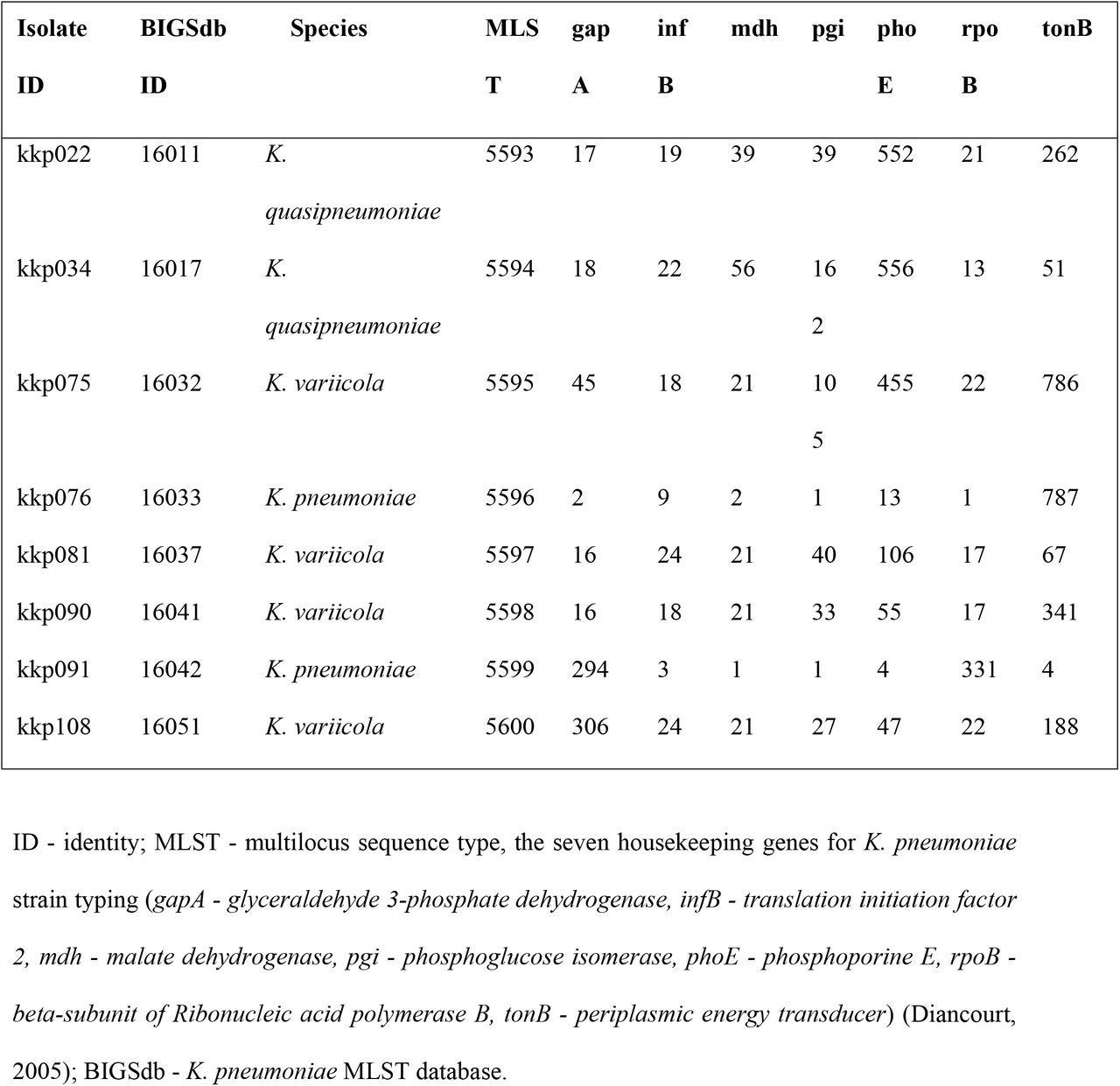 Allelic profiles of K. pneumoniae isolates with novel multilocus sequence types