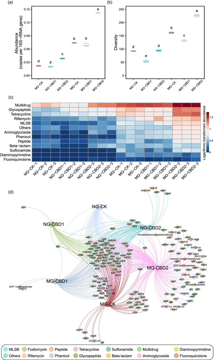 Comparison of total abundance (a) and diversity (b) of antibiotic resistance genes (ARGs) among different treatments, heatmap of the dominant ARGs based on common logarithmic transformed abundance (c), and bipartite network showed the shared and unique ARGs types (d) among treatments. The nodes and edges were colored according to ARGs types. NG-CK, NG-CBD1, and NG-CBD2 represent the earthworm gut samples in the un-manured soil with 0, 1.0, and 2.0 mg kg−1 CBD, respectively. MG-CK, MG-CBD1, and MG-CBD2 represent the earthworm gut samples in the manured soil with 0, 1.0, and 2.0 mg kg−1 CBD, respectively