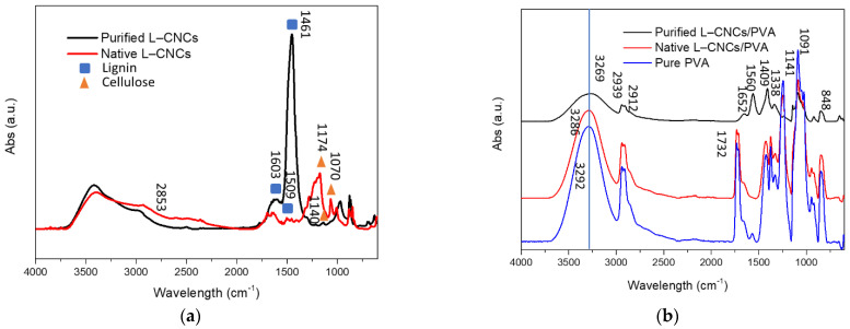 FTIR spectra of (a) purified L–CNCs and native L–CNCs, (b) purified L–CNCs/PVA, native L–CNCs/PVA and pure PVA.