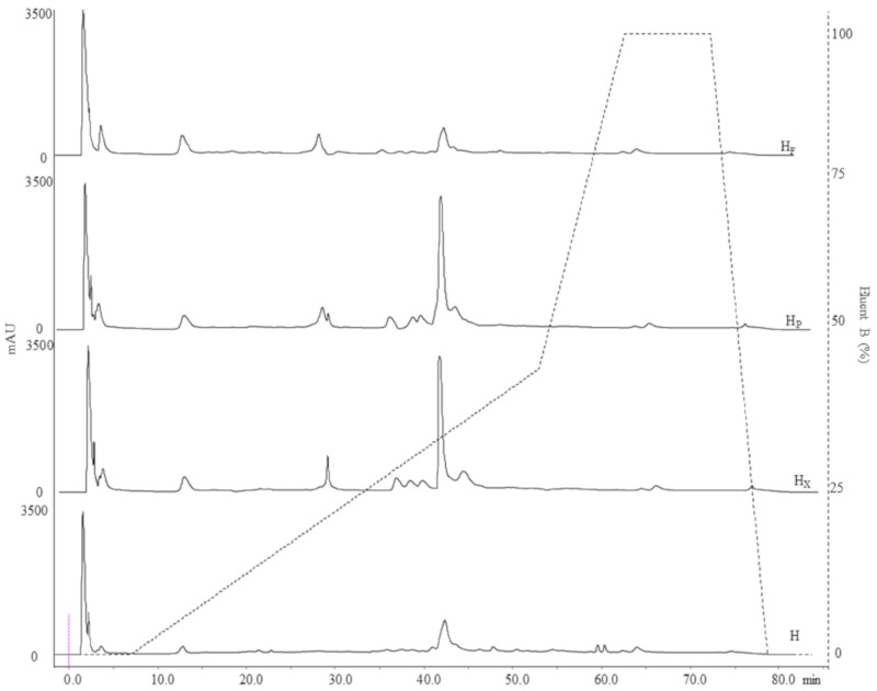 Peptide profiles of raw and bioprocessed hemp obtained by RP-FPLC (detector at 214 nm). Dashed line refers to the eluent B gradient. H, untreated hemp dough; HX, hemp dough treated with xylanase Depol 761P (1% wt/wt of fiber); HP, hemp dough treated with protease VeronPS (2.5% wt/wt of protein); HF, hemp dough fermented by Lactiplantibacillus plantarum 18S and Leuconostoc mesenteroides 12MM1 (ratio 1:1, final cell density of circa 7 log10 cfu/g). All treated samples were incubated at 30 °C for 24 h.