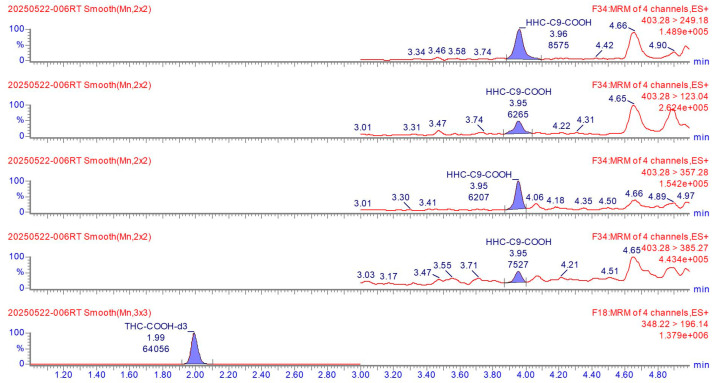 Chromatographic peak of putative HHC-C9 metabolite 11-nor-9-carboxy-HHC-C9 from liquid chromatography-mass spectrometry analysis of a blood sample taken three days after ingestion of cannabis cookies. Four mass transitions were recorded. The internal standard 11-nor-9-carboxy-tetrahydrocannabinol-d3 is shown in the bottom chromatogram.
