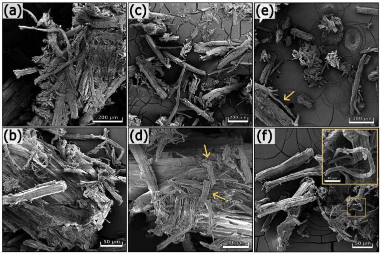 SEM images of hemp 3 (a,b), hemp 4 (c,d), and hemp 5 (e,f) at different magnifications.