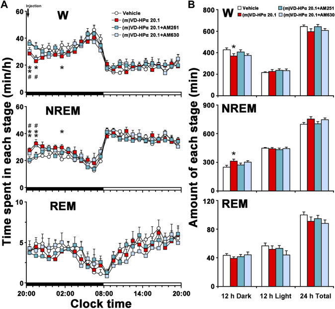 Sleep–wake profiles of rats treated with vehicle, 20.1 nmol of (m)VD-HPα, and 20.1 nmol of (m)VD-HPα with AM251 or AM630. (A) Time–course changes in W, NREM, and REM sleep for 24 h [n = 9–11, two-way repeated-measures ANOVA followed by the LSD post hoc test; W: F3,35 = 3.658, p = 0.022; NREM: F3,35 = 4.325, p = 0.011; and REM: F3,35 = 1.226, p = 0.315; *p < 0.05 and **p < 0.01 compared to vehicle, # p < 0.05 compared to (m)VD-HPα 20.1]. The horizontal filled and open bars indicate the 12-h dark and 12-h light periods, respectively. (B) Total time spent in W, NREM, and REM sleep during the 12-h dark and 12-h light phases and 24 h total [n = 9–11, one-way ANOVA followed by the LSD post hoc test, *p < 0.05, **p < 0.01 compared to vehicle, # p < 0.05 compared to (m)VD-HPα 20.1]. Data are the means ± SEM.