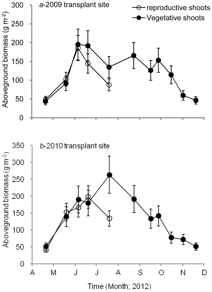 Variations in aboveground biomass of Zostera marina (g DWm−2) at the 2009 (a) and 2010 (b) transplant sites.○, reproductive shoots; •, vegetative shoots. Values are means ± SD.