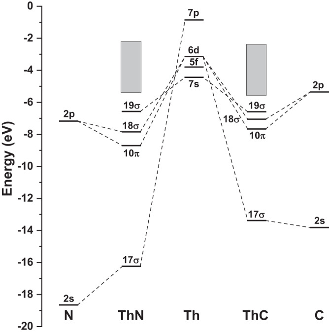MO energy-level diagrams of ThN and ThC.The restricted open-shell Kohn-Sham MO energies from statistical SAOP calculations were directly used to depict the diagram. The electron configurations are ThC (17σ)2(10π)4(18σ)1(19σ)1 and ThN (17σ)2(10π)4(18σ)2(19σ)1, respectively. Source data are provided as a Source data file.