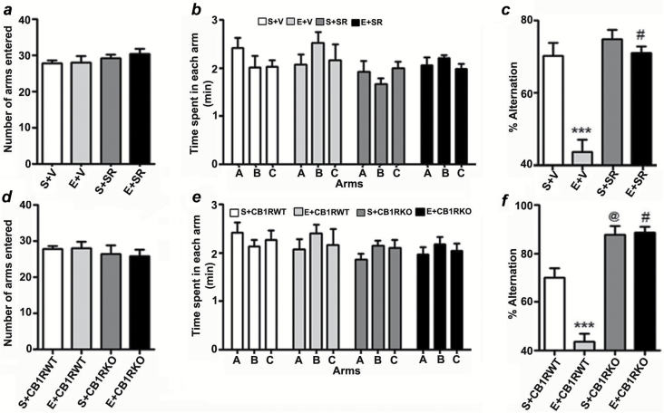 Prior blockade or genetic deletion of CB1Rs prevents P7 ethanol-induced spontaneous alternation performance deficits in adult mice. (a) Total number of arm entries reflecting exploratory activities of mice in the Y-maze does not differ between S+V, E+V, S+SR, and E+SR-treated mice. (b) The time spent in each arm was not different between the four groups (p > 0.05). (c) Spatial working memory of S+V, E+V, S+SR, and E+SR-treated mice were tested by spontaneous alternation performance in the Y-maze. Note that E+V-treated mice perform poorly compared to S+V-treated controls (***p < 0.001), while E+SR treatment restores E+V levels of alternation performance (#p < 0.001 versus E+V). n = 8 mice per group. One-way ANOVA with Bonferroni’s post hoc test was used to analyze significant differences. (d) Total number of arm entries reflecting exploratory activities of mice in the Y-maze does not differ between the CB1RWT and KO with or without ethanol. (e) The time spent in each arm was not different between S+CB1RWT, E+CB1RWT, S+CB1RKO, and E+CB1RKO treated mice (p > 0.05). (f) Spontaneous alternation performance of CB1RWT and CB1RKO mice treated with or without saline or ethanol were tested in the Y-maze. Note that the performance of P7 saline-treated CB1RKO mice was significantly enhanced compared to P7 saline-treated CB1RWT mice (@p < 0.001), while ethanol failed to impair alternation performance in CB1RKO mice (#p < 0.001 vs. E + CB1RWT). n = 8 mice per group. One-way ANOVA with Bonferroni’s post hoc test was used to analyze significant differences. Each point is the mean ± SEM.